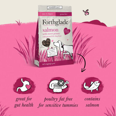 Forthglade Complete Natural Cold Pressed Dry Dog Food - Salmon with Sweet Potato