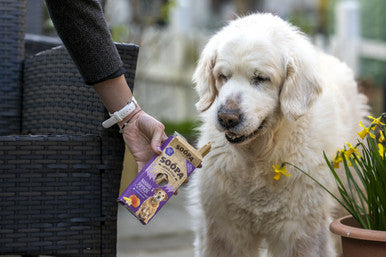 Soopa Grain-free Senior Dog Dental Sticks - Banana & Pumpkin