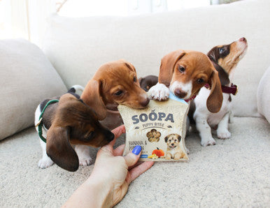 Soopa Grain-free Puppy Dog Healthy Training Bites - Banana & Pumpkin