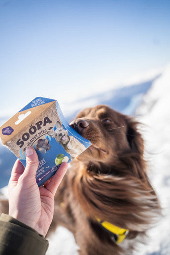 Soopa Grain-free Adult Dog Healthy Training Bites - Apple & Blueberry