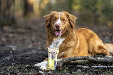 Soopa Grain-free Adult Dog Jumbo Dental Sticks - Banana & Peanut Butter