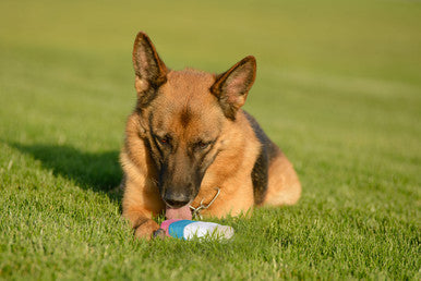 Mesh Ice Cream Toy