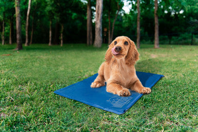 Pet Cooling Mat