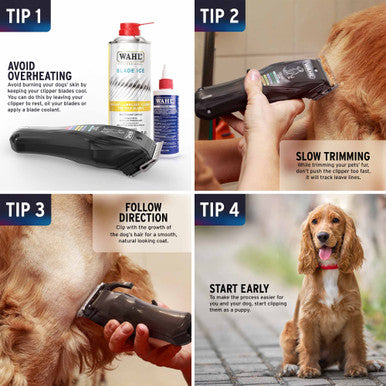 Wahl Colour Pro Rechargeable Dog Clipper Kit