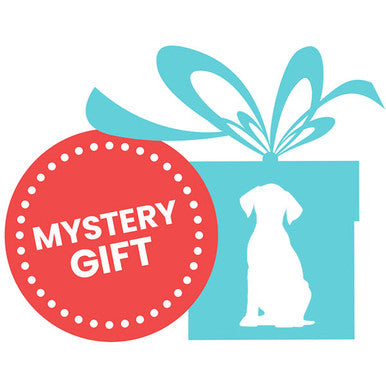 Mystery Gift Dog