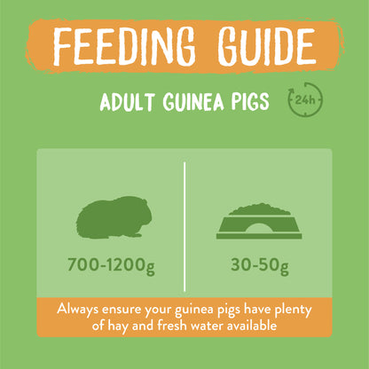 Burgess Excel Adult Guinea Pig Nuggets - Mint 3kg