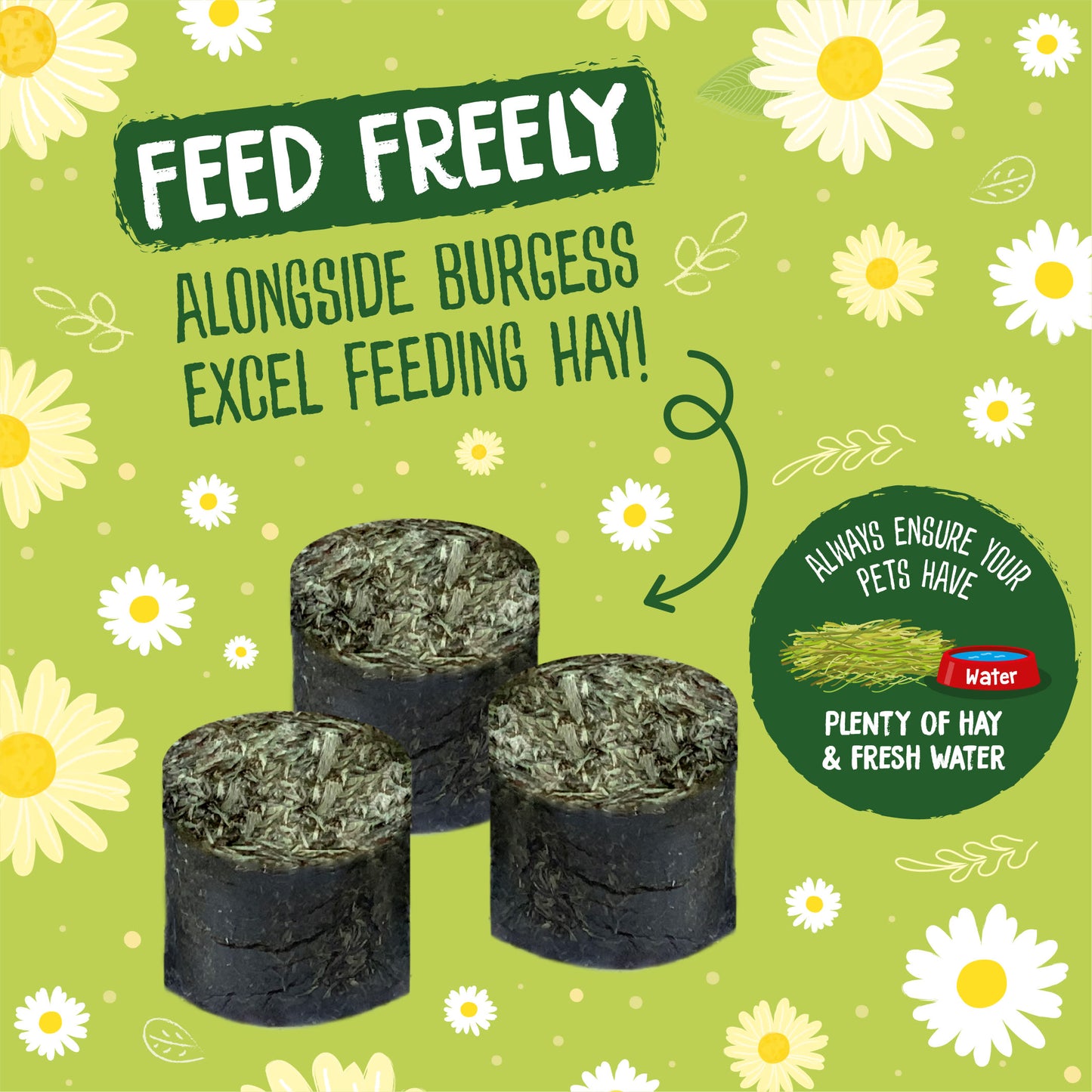 Burgess Excel Nature Snacks Meadow Munchies Hay - Dandelion & Camomile