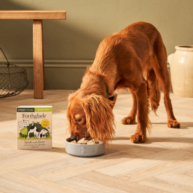 Forthglade Complete Meal Grain-free Puppy Wet Dog Food - Lamb with Liver, Sweet potato & Vegetables