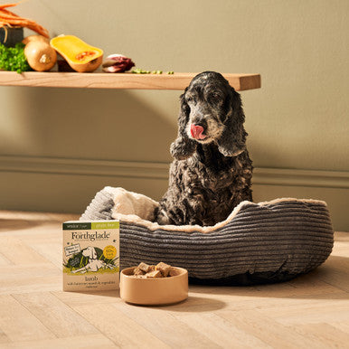 Forthglade Complete Meal Grain-free Senior Wet Dog Food - Lamb with Butternut squash & Vegetables