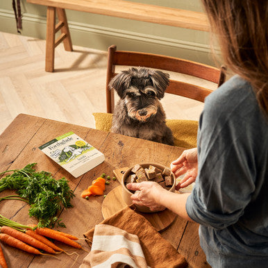 Forthglade Complete Meal Grain-free Senior Wet Dog Food - Lamb with Butternut squash & Vegetables