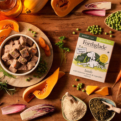 Forthglade Complete Meal Grain-free Senior Wet Dog Food - Lamb with Butternut squash & Vegetables