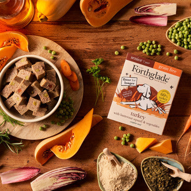 Forthglade Complete Meal Grain-free Senior Wet Dog Food - Turkey with Butternut squash & Vegetables