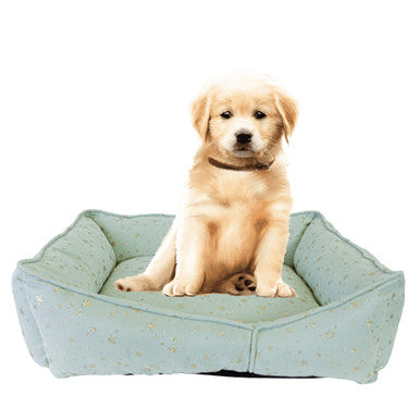 Starry Nights Star Sofa Dog Bed - Mint