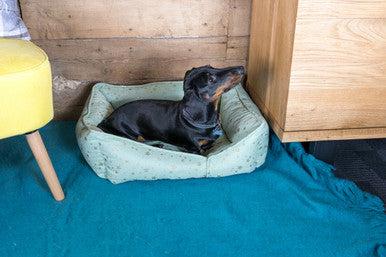 Starry Nights Star Sofa Dog Bed - Mint