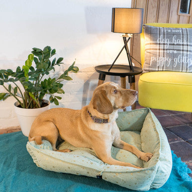 Starry Nights Star Sofa Dog Bed - Mint