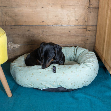 Starry Nights Star Mint Donut Dog Bed