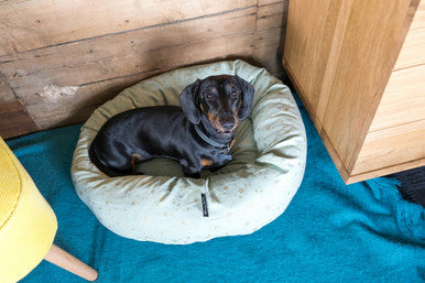 Starry Nights Star Mint Donut Dog Bed