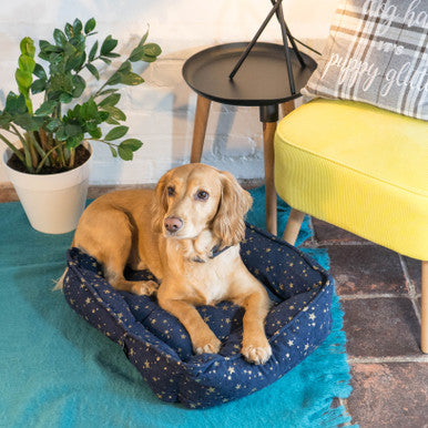 Starry Nights Star Sofa Dog Bed - Navy