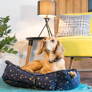 Starry Nights Star Sofa Dog Bed - Navy