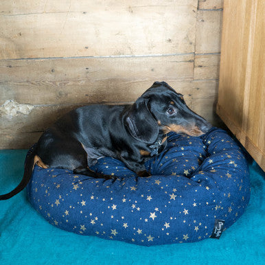 Starry Nights Star Navy Donut Dog Bed