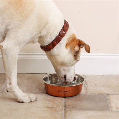 Hound Hammered Antique Copper Finish Dog Pet Bowl