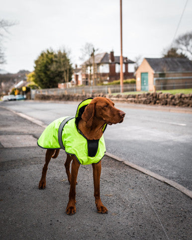 Danish Design Hi Viz 2 in 1 Ultimate Dog Coat