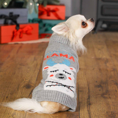 Whimsical Llama Dog Jumper