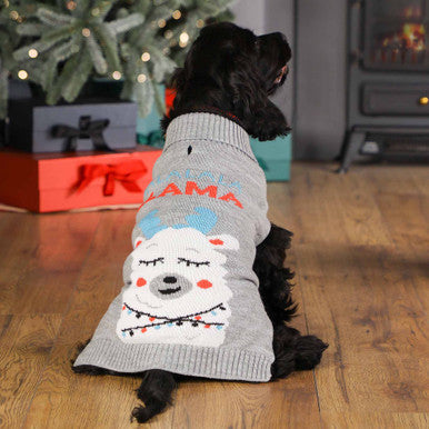 Whimsical Llama Dog Jumper