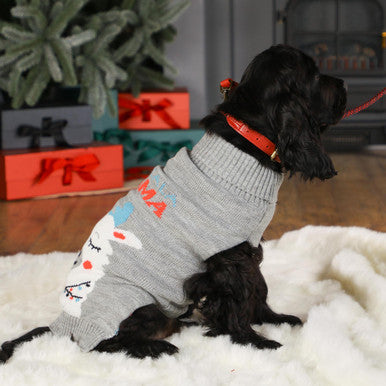 Whimsical Llama Dog Jumper