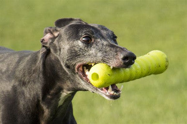 Foaber Stick Foam Rubber Dog Toy Green