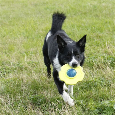 Foaber Fusion Nucleus 2in1 Dog Toy