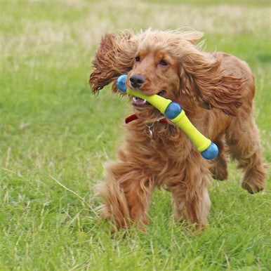 Foaber Fusion Molecule Dog Toy