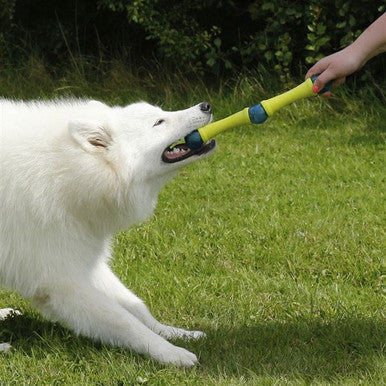 Foaber Fusion Molecule Dog Toy