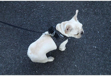 Petkit Air Fly Dog Harness