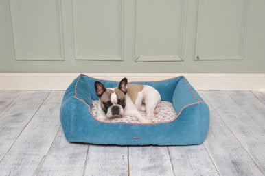 Ministry of Pets Blue Printed Dog & Cat Sofa Bed