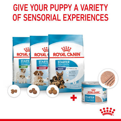 Royal Canin Size Health Nutrition Starter Mother & Baby Dog Adult and Puppy Wet Dog Food