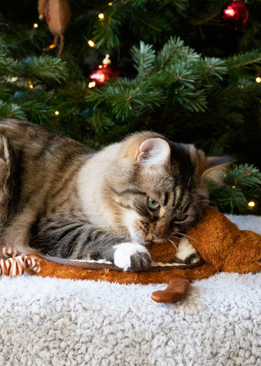 Cupid & Comet Reindeer Scratcher Cat Mat