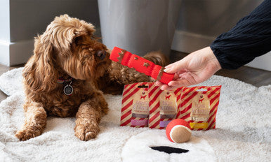 Cupid & Comet Christmas Dinner Dog Stocking