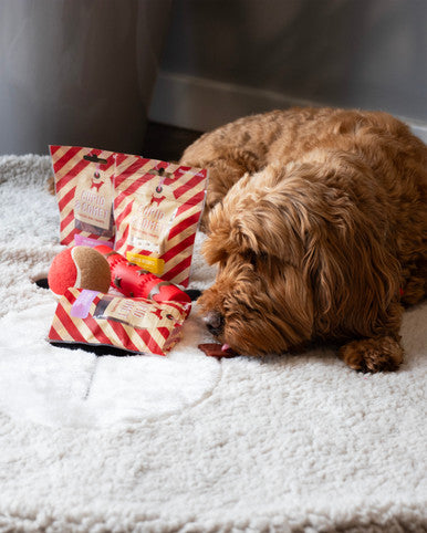 Cupid & Comet Christmas Dinner Dog Stocking