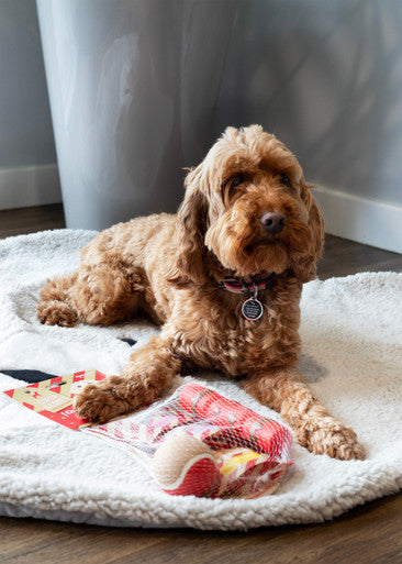 Cupid & Comet Christmas Dinner Dog Stocking