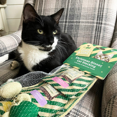 Cupid & Comet Christmas Dinner Cat Stocking