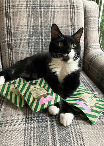 Cupid & Comet Christmas Dinner Cat Stocking