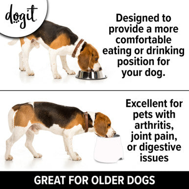 Dogit Elevated Dish Large Dog Bowl