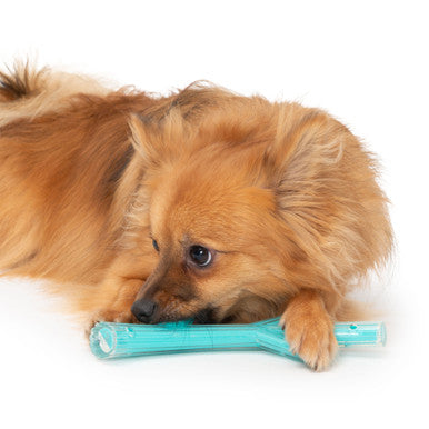 Zeus Duo Stick Turquoise Dog Chew Toy