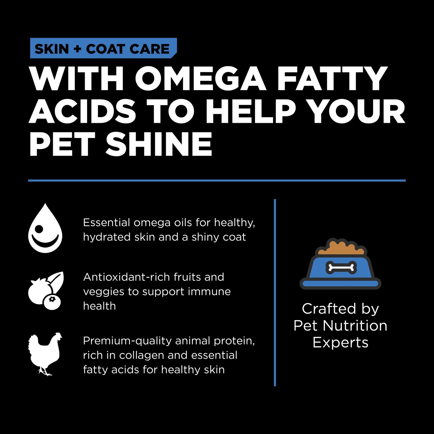 Go! Skin + Coat Care Chicken Recipe With Grains for Dogs