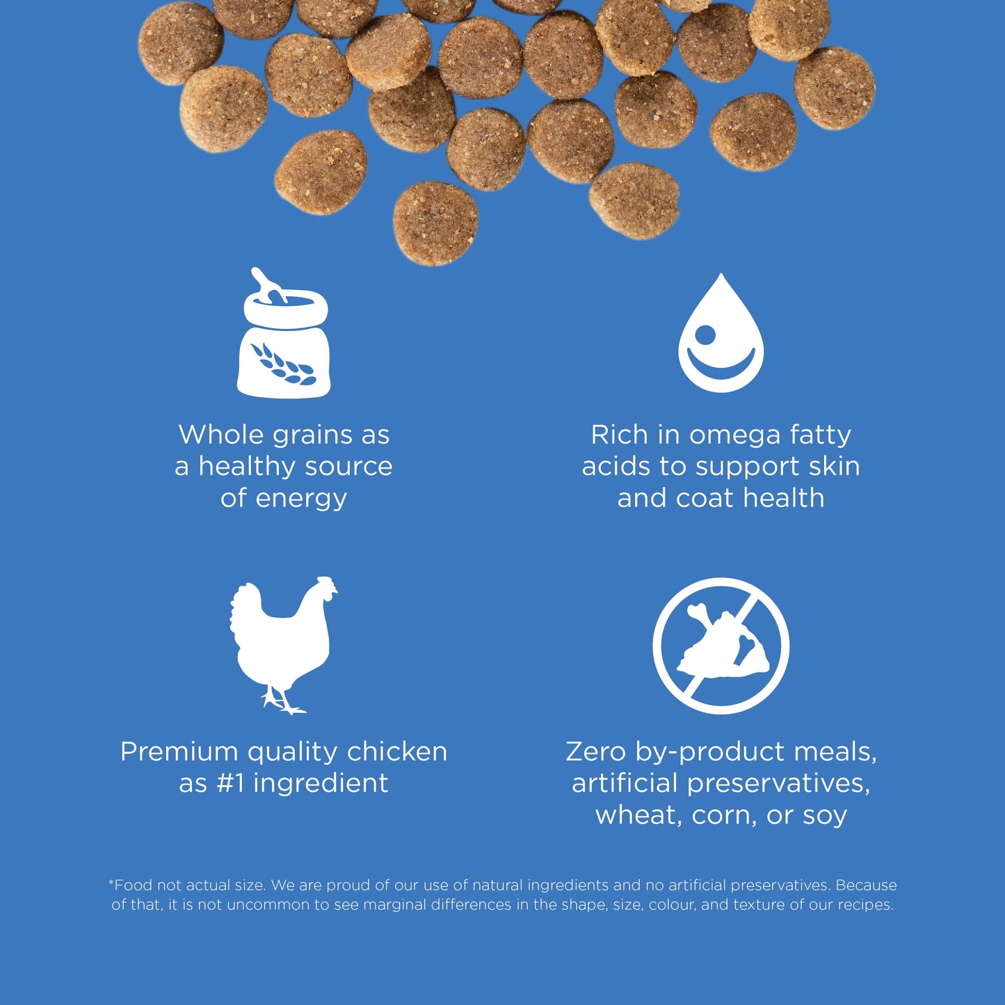 Go! Skin + Coat Care Chicken Recipe With Grains for Dogs