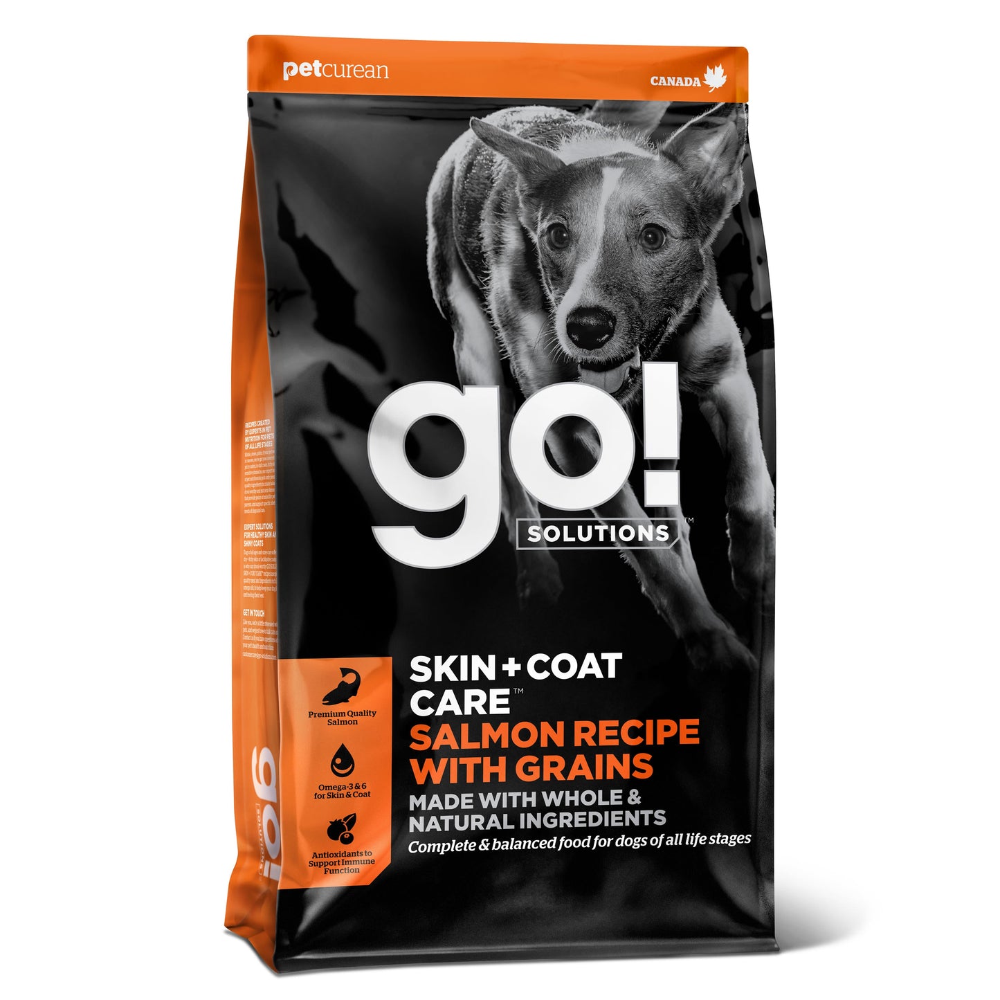 Go! Skin + Coat Care Salmon Recipe With Grains for Dogs