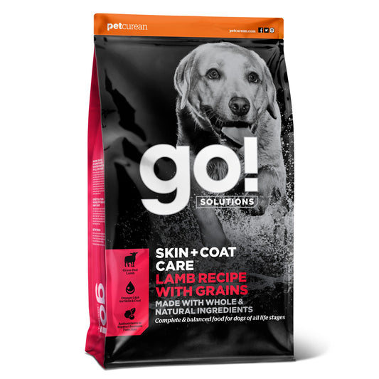 Go! Skin + Coat Care Lamb Recipe With Grains for Dogs