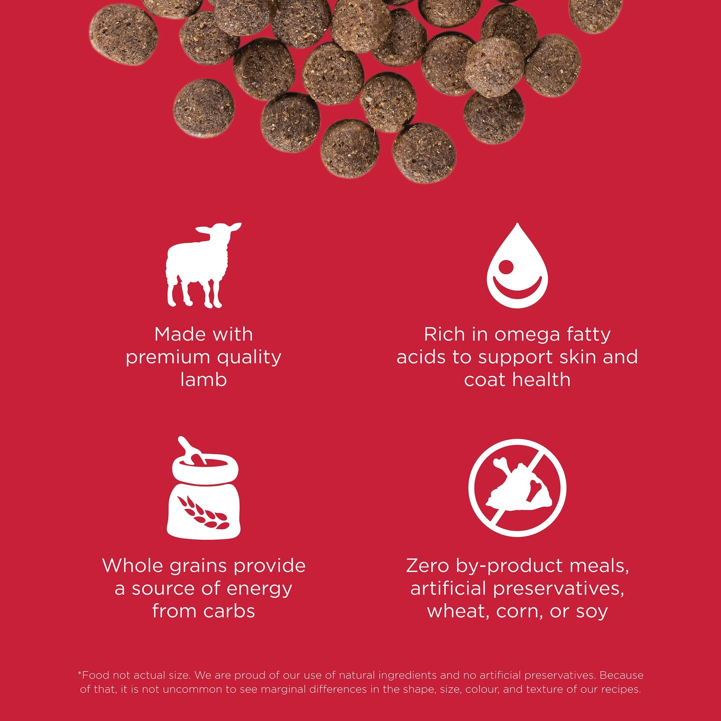 Go! Skin + Coat Care Lamb Recipe With Grains for Dogs