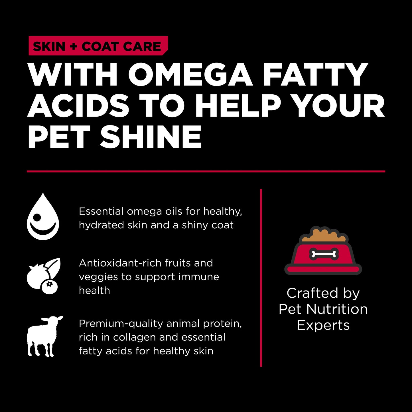 Go! Skin + Coat Care Lamb Recipe With Grains for Dogs